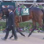 【競馬予想】[1]第63回京都金杯(GⅢ) /2025