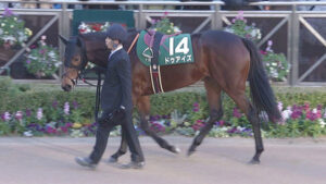 【競馬予想】[1]第63回京都金杯(GⅢ) /2025