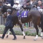【競馬予想】[1]第72回 日経新春杯(GⅡ)/2025