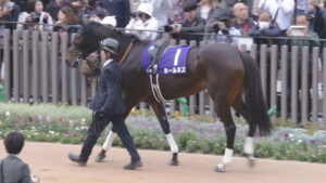 【競馬予想】[1]第72回 日経新春杯(GⅡ)/2025