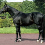 種牡馬キズナの数の暴力的な種牡馬リーディングに意味はあるのか?