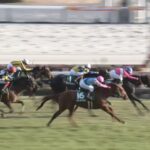 【京都金杯2025】結果・動画/サクラトゥジュールが鮮やかに差し切る