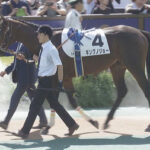 【競馬予想】[2]第65回京成杯(GⅢ) /2025