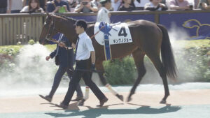 【競馬予想】[2]第65回京成杯(GⅢ) /2025