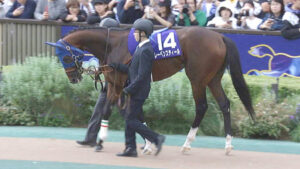 2番人気12着レーベンスティールは今後どうするか