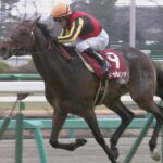 【競馬】冷静に見ればキングカメハメハ産駒に一頭も強い産駒などいない件