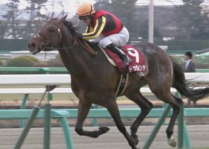 【競馬】冷静に見ればキングカメハメハ産駒に一頭も強い産駒などいない件