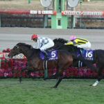 【回顧】3年有馬のスタオン大外から2着って普通にすごくね