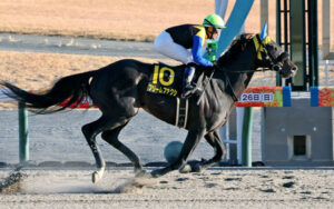 【すばるS】強行出走フリームファクシが圧勝www
