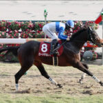 【日経新春杯】4番人気ロードデルレイが快勝!重賞初制覇