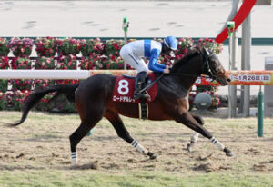 【日経新春杯】4番人気ロードデルレイが快勝！重賞初制覇