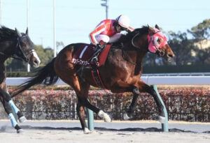 【プロキオンS】5番人気のサンデーファンデーが逃げ切ってV！連勝で重賞初制覇