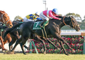 【京都金杯】8歳馬サクラトゥジュール接戦制す!キング騎手JRA重賞3勝目