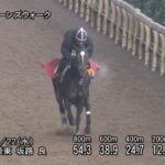 【小倉牝馬ステークス2025】追い切り/動きからレースを紐解く