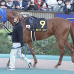 京都金杯2着ウォーターリヒト、師の夢のためフェブラリー参戦か