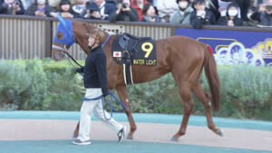 京都金杯2着ウォーターリヒト、師の夢のためフェブラリー参戦か