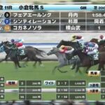 コガネノソラが骨折