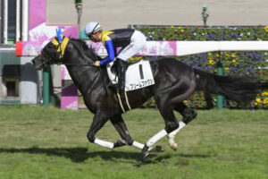 フリームファクシ、中1週→中1週ですばるSに出走決定