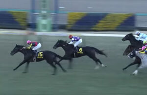 【ニューイヤーS】トロヴァトーレ強すぎワロタw w w w w