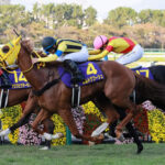 【AJCC】ボルドグフーシュ鞍上は内田博幸とのコンビ