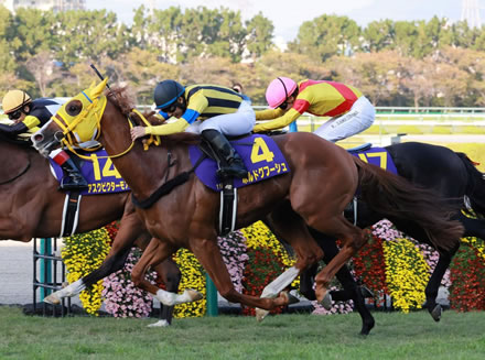 【AJCC】ボルドグフーシュ鞍上は内田博幸とのコンビ