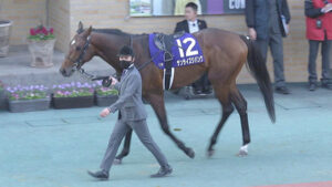 サンライズジパング、次走はサウジ芝レッドシーターフH参戦