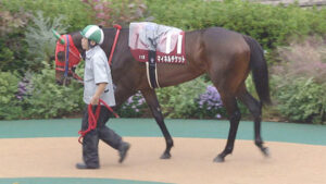 【競馬予想】[1]第59回シンザン記念(GⅢ) /2025