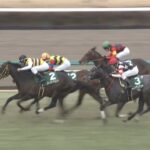 【京成杯2025】結果・動画/ニシノエージェントが差し切り波乱を演出