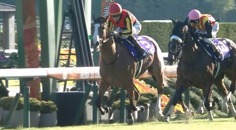 2冠牝馬チェルヴィニア、2・16京都記念で始動