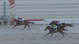 東京大賞典3着ラムジェットはサウジ・ドバイの招待を待ち、届かなければフェブラリーSへ