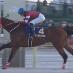 【JRA賞】年度代表馬フォーエバーヤングに入れた19人