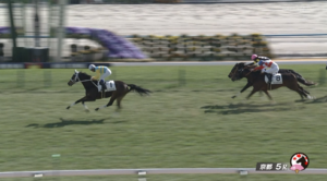 ムーンライトラガー強過ぎワロタｗ