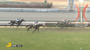 万葉ステークス　反省会