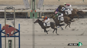 【月曜中山4R】15番人気のホウオウフロイト丸田騎手がｷﾀ━━━━(ﾟ∀ﾟ)━━━━!!