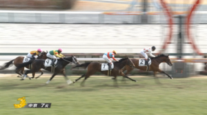 【日曜中京7R】デルアヴァーとかいうワイより正月休みが少ない馬