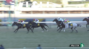 【ニューイヤーS】トロヴァトーレ＆Tマーカンド騎手がｷﾀ━━━━(ﾟ∀ﾟ)━━━━!!