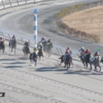 【月曜中京1R】一発先制オープニングレースなのかこの面子は(´・ω・`)