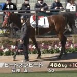 【中山4R障害未勝利】ヒートオンビートの第二の馬生スタートだな