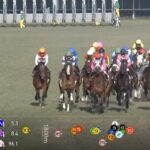 【日経新春杯】ロードデルレイ&西村騎手がキタ━━━━(゚∀゚)━━━━!!