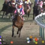 【日経新春杯】メイショウタバルさん 沈む
