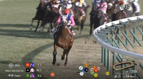【日経新春杯】メイショウタバルさん 沈む