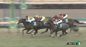 ミニトランザット強くね？