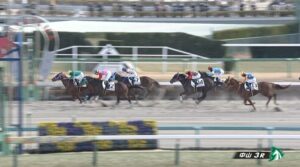 【日曜中山3R】チンプンカンプン柴田大知