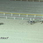 【ブルーバードC】メルキオル＆川田騎手がｷﾀ━━━━(ﾟ∀ﾟ)━━━━!!