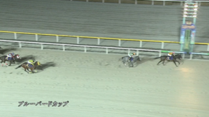 【ブルーバードC】メルキオル＆川田騎手がｷﾀ━━━━(ﾟ∀ﾟ)━━━━!!