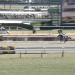 【土曜中山3R新馬戦】ロジリッキー&三浦騎手がキタ━━━━(゚∀゚)━━━━!!