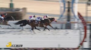 サンライズジパング、次走はサウジ芝で決定か