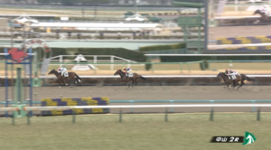 【土曜中山2R】チュウワクリスエス＆原田和真騎手がｷﾀ━━━━(ﾟ∀ﾟ)━━━━!!