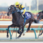 ハーツクライが年度代表馬頭数でサンデーサイレンス、トニービン、ブライアンズタイムに並ぶ