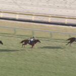 【クイーンカップ2025】結果・動画/エンブロイダリーが抜け出し圧勝